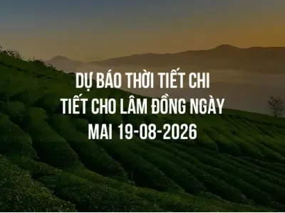 Dự báo thời tiết chi tiết cho Lâm Đồng ngày mai 19-08-2026
