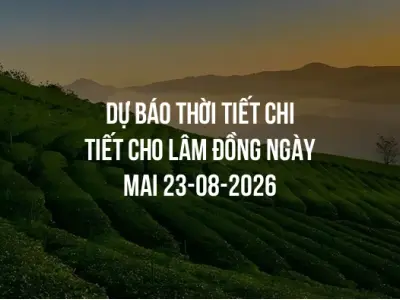 Dự báo thời tiết chi tiết cho Lâm Đồng ngày mai 23-08-2026