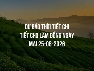 Dự báo thời tiết chi tiết cho Lâm Đồng ngày mai 25-08-2026