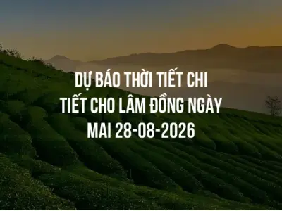 Dự báo thời tiết chi tiết cho Lâm Đồng ngày mai 28-08-2026
