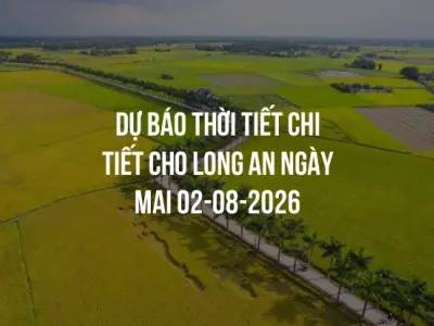 Dự báo thời tiết chi tiết cho Long An ngày mai 02-08-2026