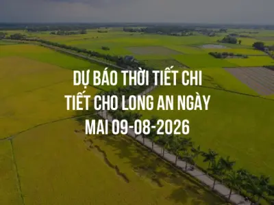Dự báo thời tiết chi tiết cho Long An ngày mai 09-08-2026