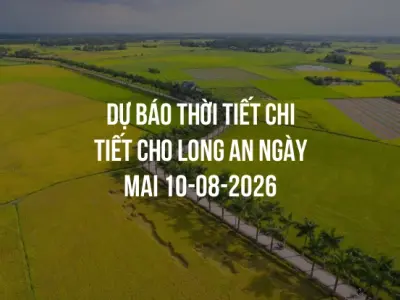 Dự báo thời tiết chi tiết cho Long An ngày mai 10-08-2026