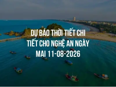 Dự báo thời tiết chi tiết cho Nghệ An ngày mai 11-08-2026