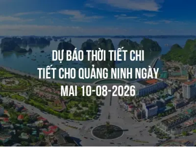 Dự báo thời tiết chi tiết cho Quảng Ninh ngày mai 10-08-2026