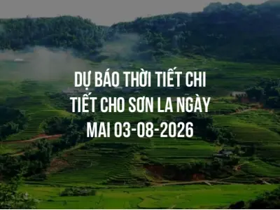 Dự báo thời tiết chi tiết cho Sơn La ngày mai 03-08-2026