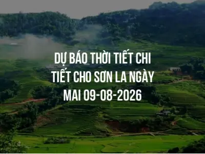 Dự báo thời tiết chi tiết cho Sơn La ngày mai 09-08-2026