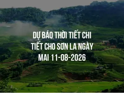 Dự báo thời tiết chi tiết cho Sơn La ngày mai 11-08-2026