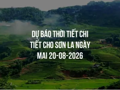 Dự báo thời tiết chi tiết cho Sơn La ngày mai 20-08-2026