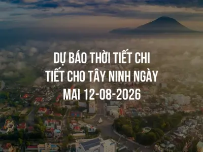 Dự báo thời tiết chi tiết cho Tây Ninh ngày mai 12-08-2026