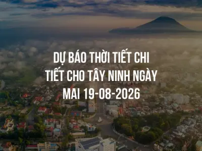 Dự báo thời tiết chi tiết cho Tây Ninh ngày mai 19-08-2026