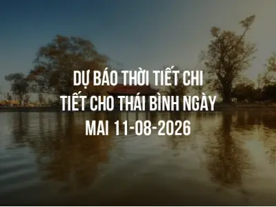 Dự báo thời tiết chi tiết cho Thái Bình ngày mai 11-08-2026
