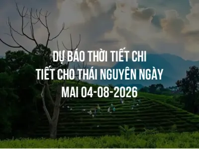 Dự báo thời tiết chi tiết cho Thái Nguyên ngày mai 04-08-2026