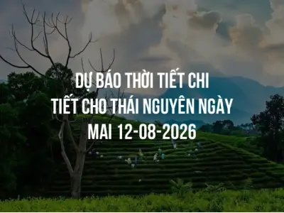 Dự báo thời tiết chi tiết cho Thái Nguyên ngày mai 12-08-2026
