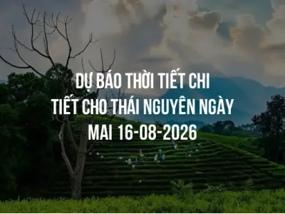 Dự báo thời tiết chi tiết cho Thái Nguyên ngày mai 16-08-2026