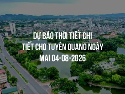 Dự báo thời tiết chi tiết cho Tuyên Quang ngày mai 04-08-2026