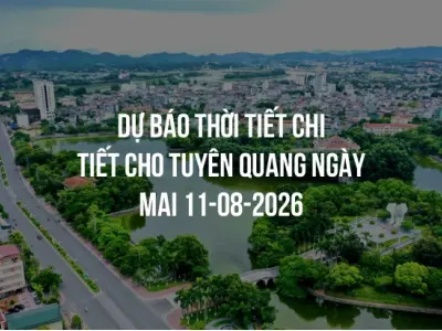 Dự báo thời tiết chi tiết cho Tuyên Quang ngày mai 11-08-2026