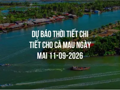 Dự báo thời tiết chi tiết cho Cà Mau ngày mai 11-09-2026