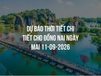 Dự báo thời tiết chi tiết cho Đồng Nai ngày mai 11-09-2026