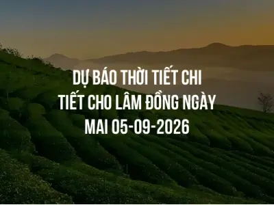 Dự báo thời tiết chi tiết cho Lâm Đồng ngày mai 05-09-2026