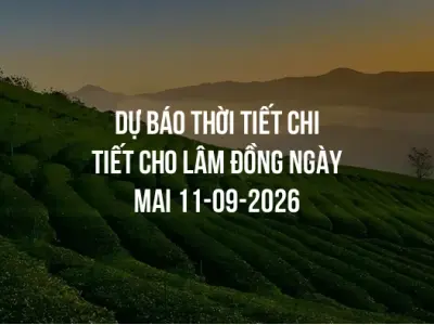 Dự báo thời tiết chi tiết cho Lâm Đồng ngày mai 11-09-2026