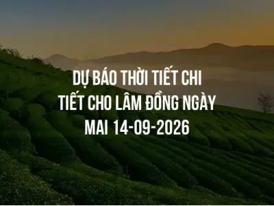 Dự báo thời tiết chi tiết cho Lâm Đồng ngày mai 14-09-2026