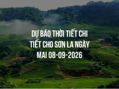 Dự báo thời tiết chi tiết cho Sơn La ngày mai 08-09-2026