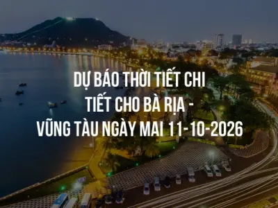 Dự báo thời tiết chi tiết cho Bà Rịa - Vũng Tàu ngày mai 11-10-2026