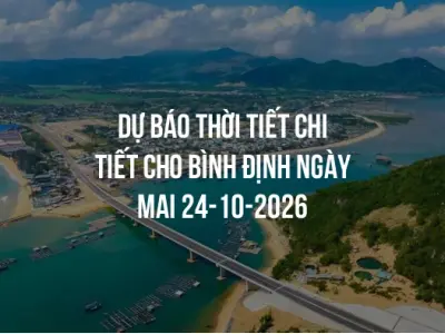 Dự báo thời tiết chi tiết cho Bình Định ngày mai 24-10-2026