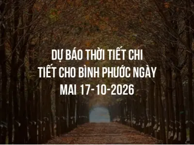 Dự báo thời tiết chi tiết cho Bình Phước ngày mai 17-10-2026