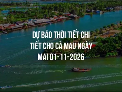 Dự báo thời tiết chi tiết cho Cà Mau ngày mai 01-11-2026