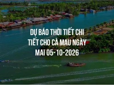 Dự báo thời tiết chi tiết cho Cà Mau ngày mai 05-10-2026