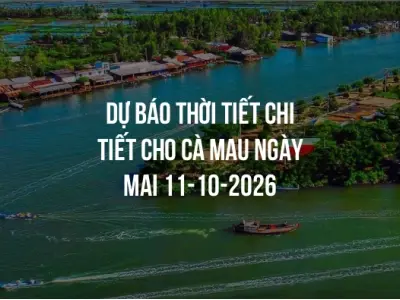 Dự báo thời tiết chi tiết cho Cà Mau ngày mai 11-10-2026