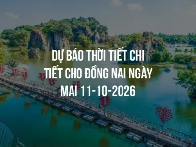 Dự báo thời tiết chi tiết cho Đồng Nai ngày mai 11-10-2026