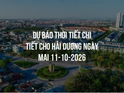Dự báo thời tiết chi tiết cho Hải Dương ngày mai 11-10-2026