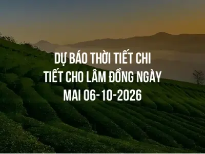 Dự báo thời tiết chi tiết cho Lâm Đồng ngày mai 06-10-2026