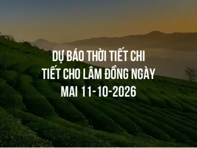 Dự báo thời tiết chi tiết cho Lâm Đồng ngày mai 11-10-2026