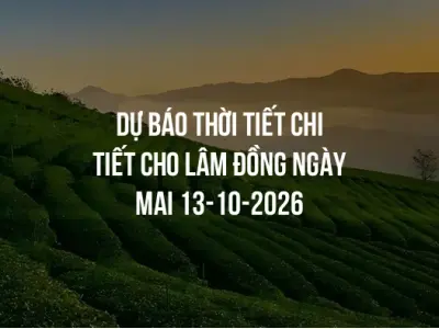 Dự báo thời tiết chi tiết cho Lâm Đồng ngày mai 13-10-2026