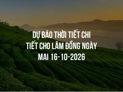 Dự báo thời tiết chi tiết cho Lâm Đồng ngày mai 16-10-2026