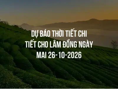 Dự báo thời tiết chi tiết cho Lâm Đồng ngày mai 26-10-2026