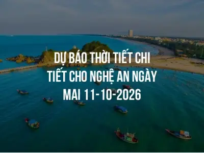 Dự báo thời tiết chi tiết cho Nghệ An ngày mai 11-10-2026