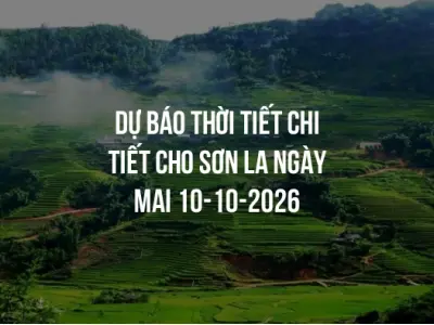 Dự báo thời tiết chi tiết cho Sơn La ngày mai 10-10-2026