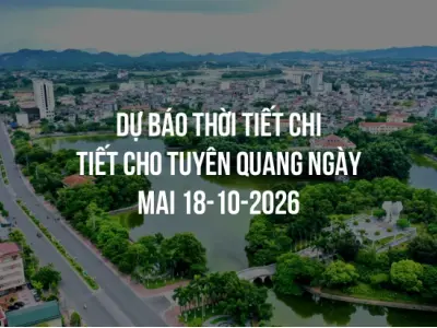 Dự báo thời tiết chi tiết cho Tuyên Quang ngày mai 18-10-2026