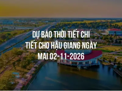 Dự báo thời tiết chi tiết cho Hậu Giang ngày mai 02-11-2026